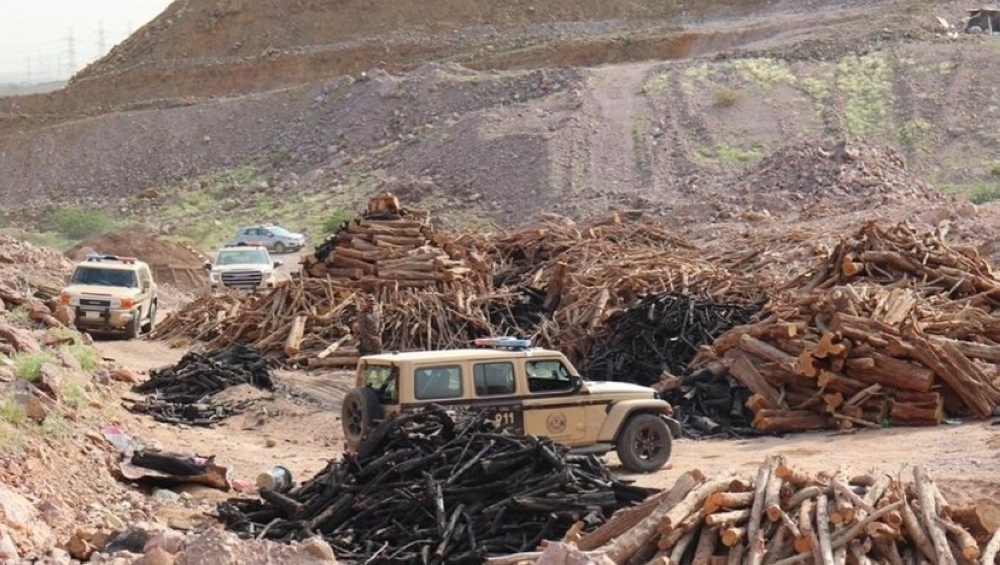 دوريات-الإدارة-العامة-للمجاهدين-بحائل-تضبط-مخالفًا-لنظام-البيئة