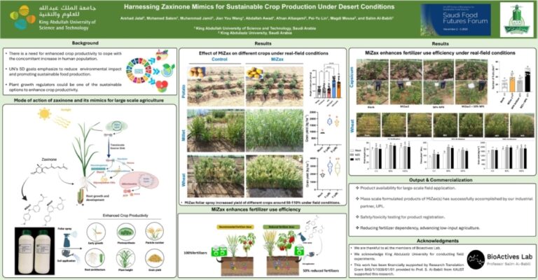باحثون-يتوصلون-لنتائج-واعدة-
في-مجال-زيادة-إنتاج-القمح-والدخن