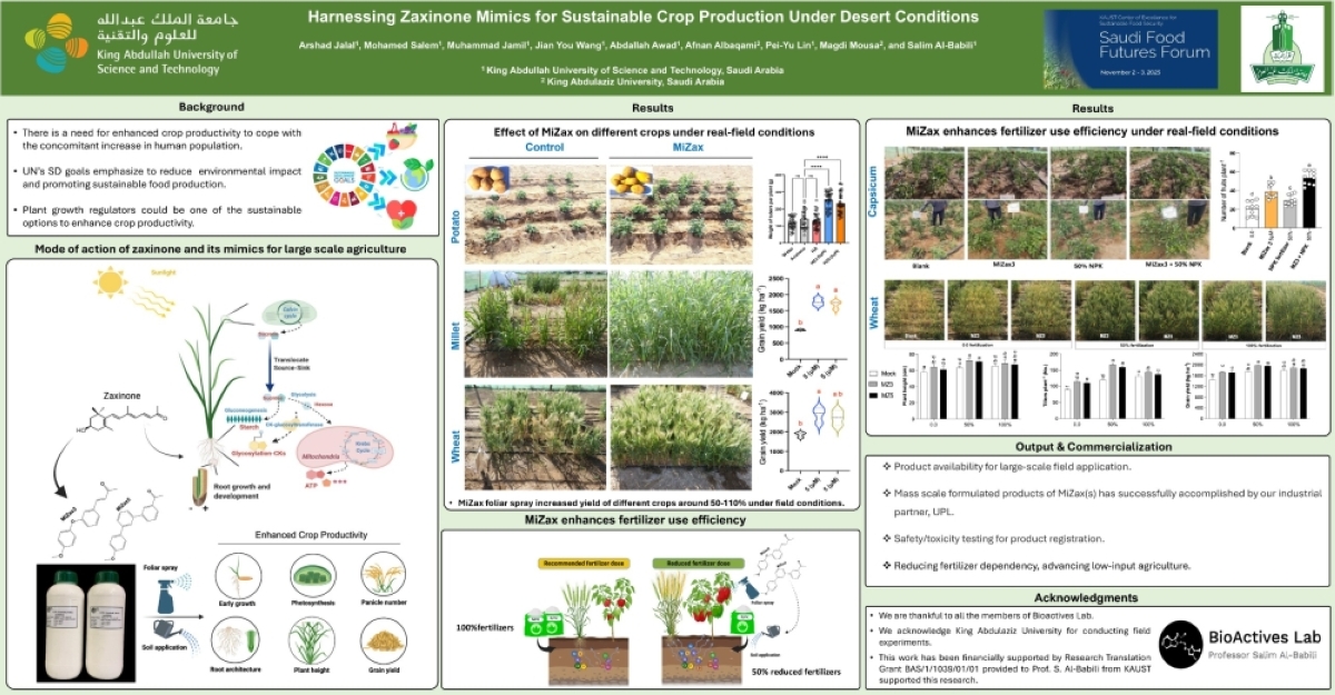 باحثون-يتوصلون-لنتائج-واعدة-
في-مجال-زيادة-إنتاج-القمح-والدخن