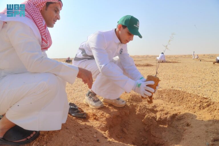 مبادرة-لغرس-2000-شجرة