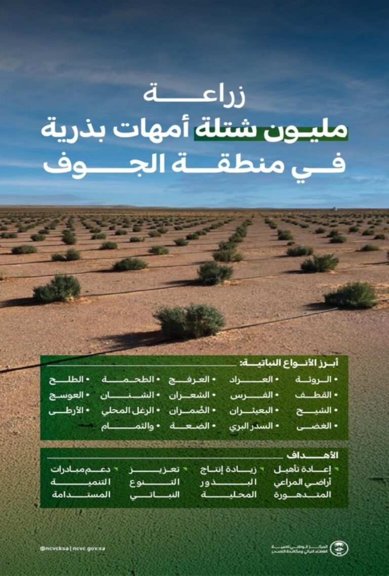 «الغطاء-النباتي»-يزرع-مليون-شتلة-لأمهات-البذور-بالجوف