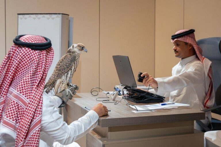 بدء-تسجيل-الراغبين-في-المشاركة-بمنافسات-كأس-نادي-الصقور-السعودي-ومهرجان-الملك-عبدالعزيز-2025