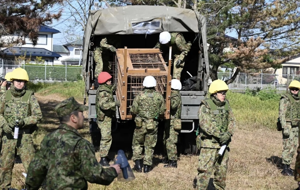 اليابان-تستدعي-قواتها-العسكرية-لمواجهة-هجمات-الدببة