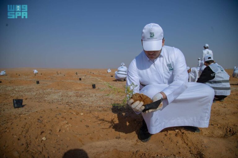 هيئة-تطوير-محمية-الملك-سلمان-تنظم-مبادرة-لزراعة-3000-شتلة