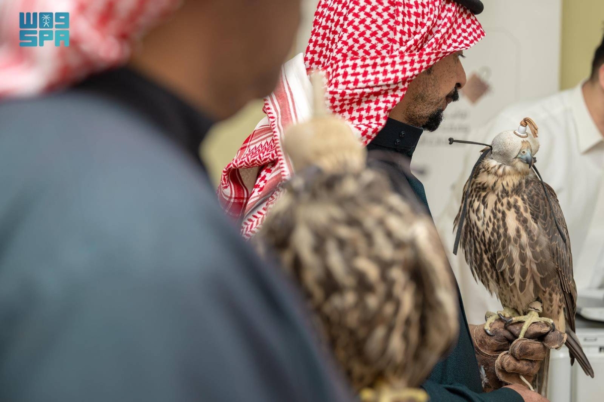 نادي-الصقور-السعودي-يواصل-جولته-الميدانية-لتصحيح-أوضاع-الصقور-وتوثيق-ملكياتها-في-مناطق-المملكة