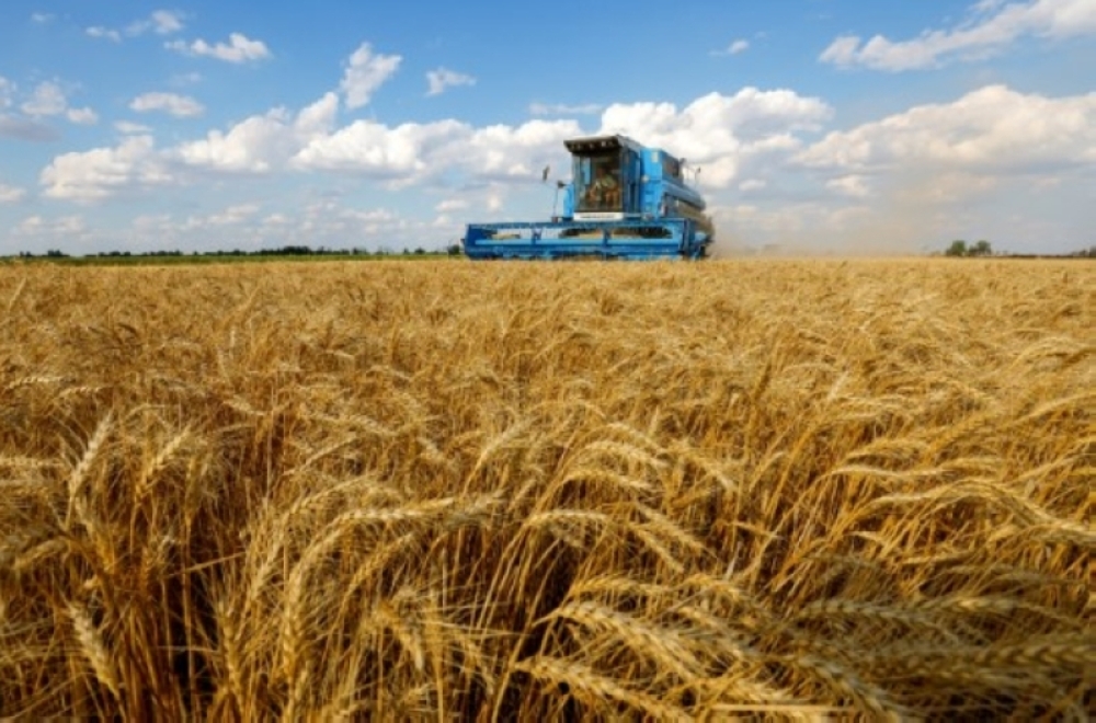 روسيا-تعيد-تشغيل-طريق-القمح-إلى-القوقاز-بعد-توقف-30-عامًا