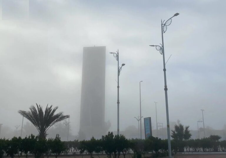 رياح-نشطة-وضباب-وأمطار.-تفاصيل-طقس-الجمعة-في-المملكة