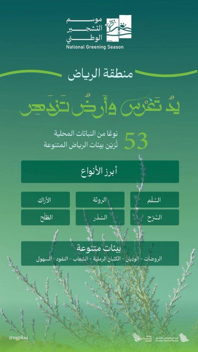 الطلح-والسدر-والسلم-أبرز-أنواع-النباتات-الملائمة-للتشجير-بالرياض