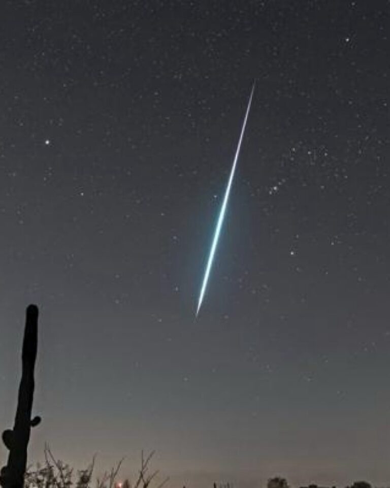 فلكية-جدة:-زخة-شهب-الثوريات-الشمالية-تبلغ-ذروتها-فجر-الخميس