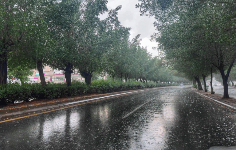 “الأرصاد”:-أمطار-وتساقط-للبرد-على-حائل-والحدود-الشمالية