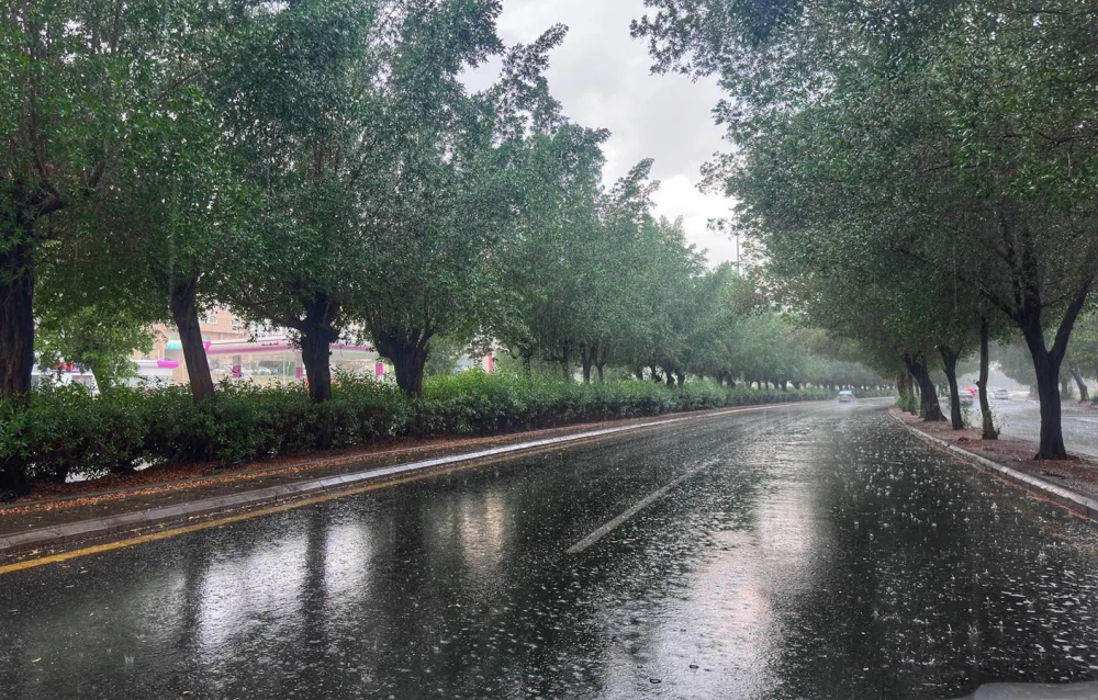 “الأرصاد”:-أمطار-وتساقط-للبرد-على-حائل-والحدود-الشمالية