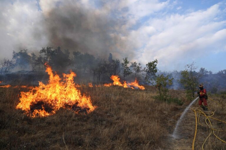 في-14-محافظة.-الجزائر-تسيطر-على-جميع-حرائق-الغطاء-النباتي