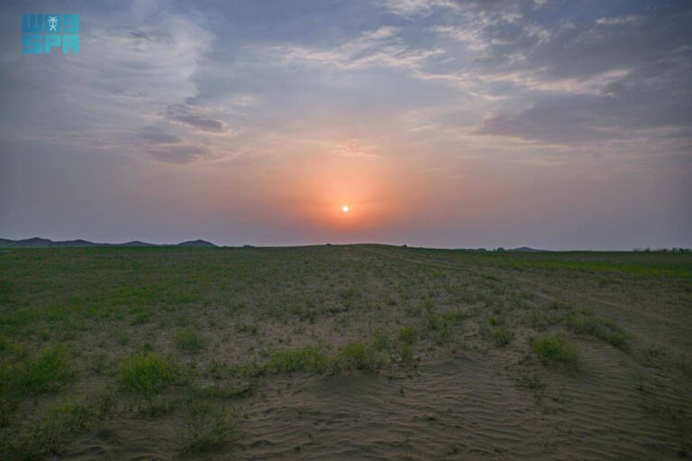 مهرجان-شتاء-الباحة.-حراك-سياحي-وترفيهي-متكامل