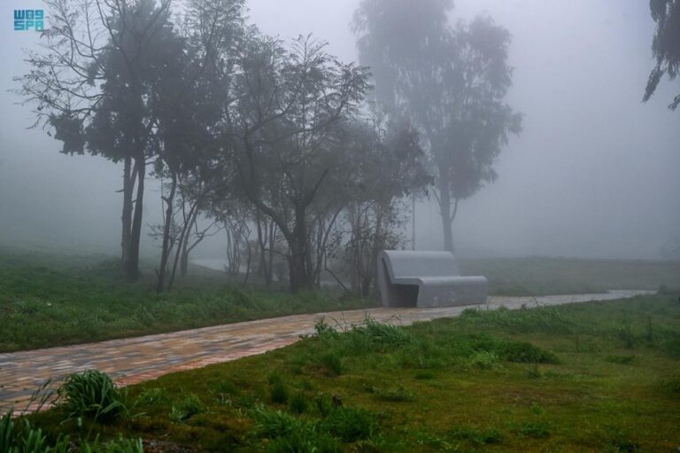 الضباب-يخيم-على-أجواء-الشرقية.-ونعدام-مدى-الرؤية-الأفقية-3-كيلومترات