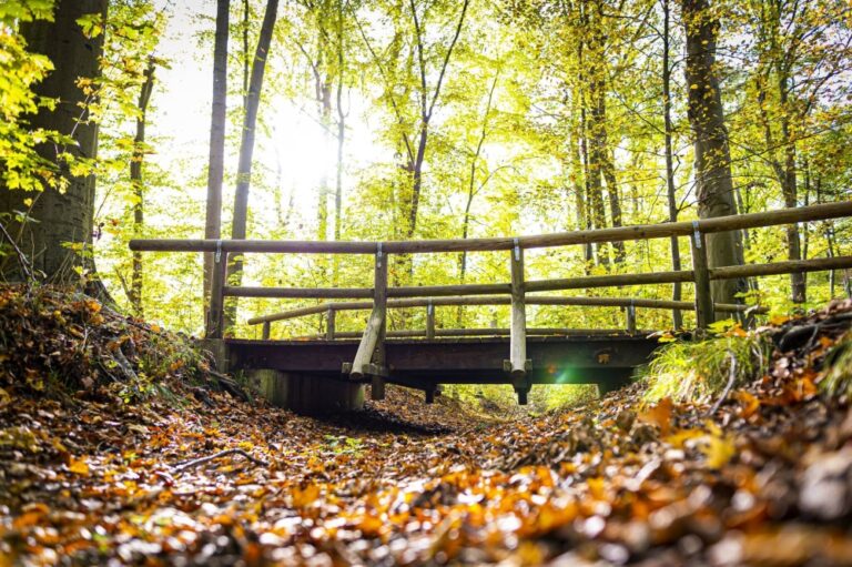 الدمام-31-مئوية.-بيان-درجات-الحرارة-العظمى-على-بعض-مدن-المملكة