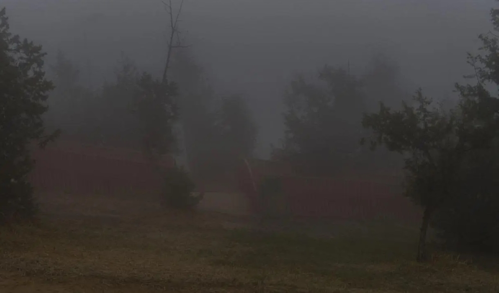 طقس-الأربعاء.-ضباب-على-أجزاء-من-الشرقية-خلال-ساعات-الصباح-الباكر