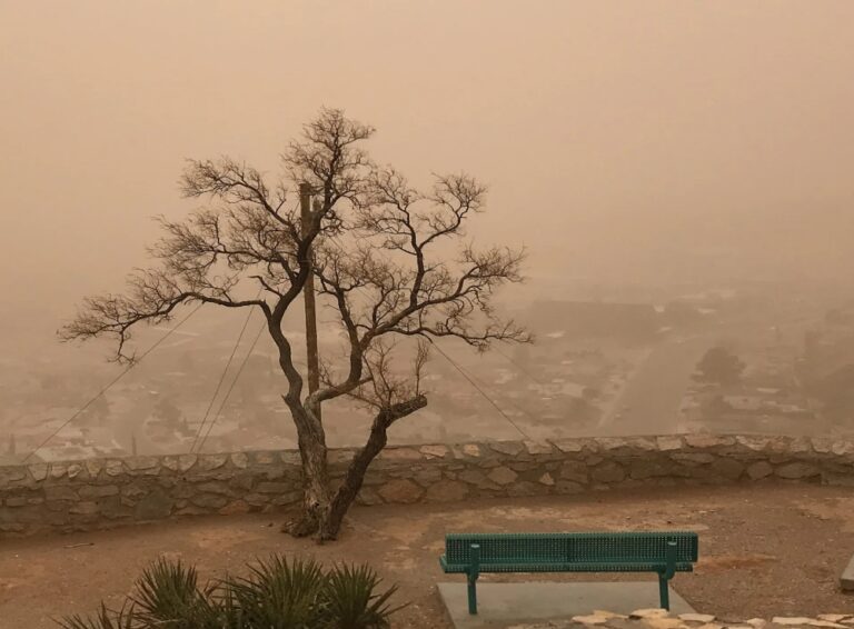 الأماكن-والمواعيد.-رياح-نشطة-وأتربة-على-أجزاء-من-الشرقية