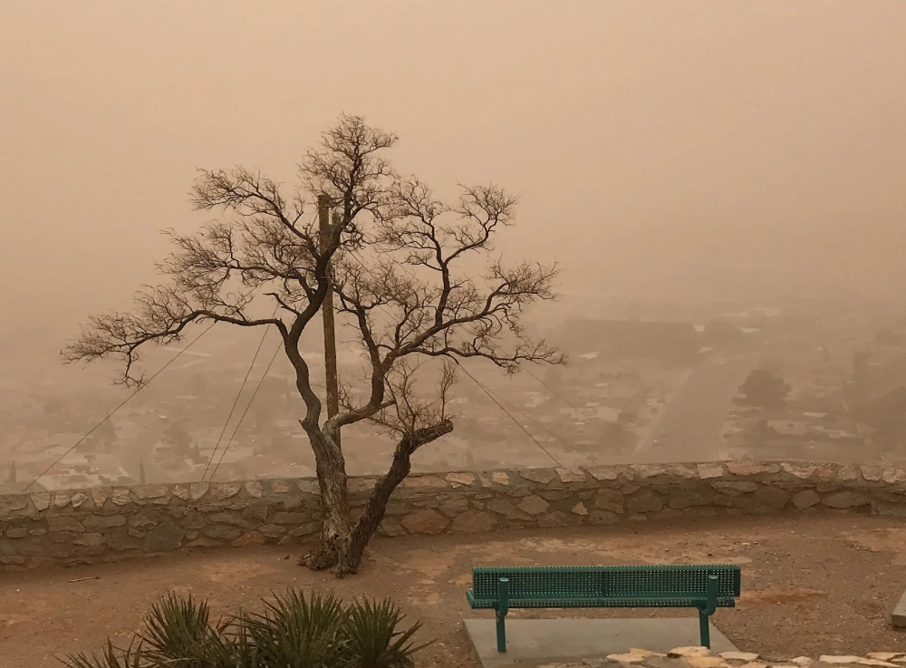 الأماكن-والمواعيد.-رياح-نشطة-وأتربة-على-أجزاء-من-الشرقية