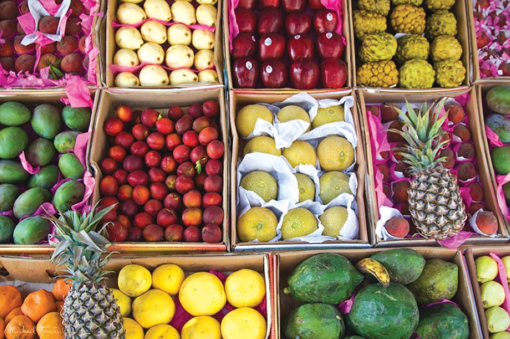 السجل-الزراعي-والتعاقد-الموثق.-شروط-«البيئة»-لمنح-تراخيص-المتاجر