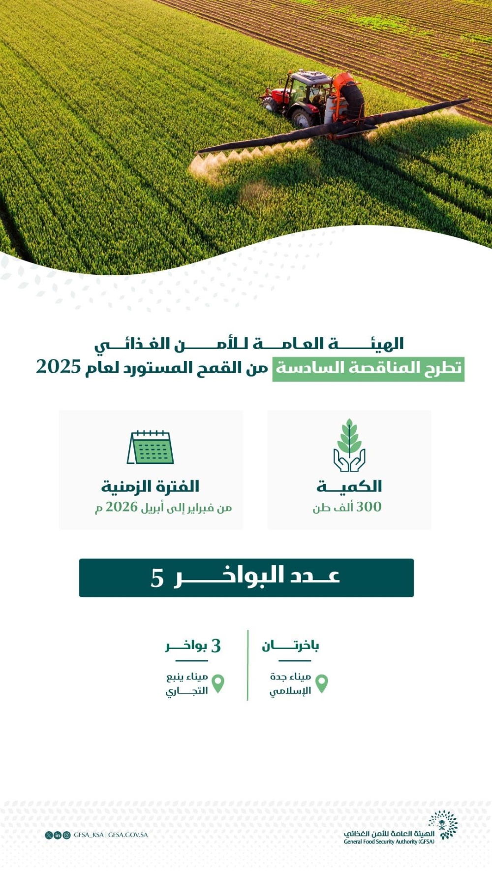 «الأمن-الغذائي»-تطرح-آخر-مناقصات-2025-لاستيراد-300-ألف-طن-من-القمح