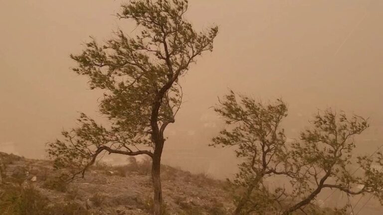 “الأرصاد”:-أتربة-مُثارة-ورياح-نشطة-على-محافظة-الجموم