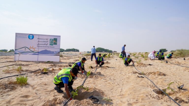 الأحساء.-الري-تُطبق-خطة-استدامة-وتغرس-500-شتلة-في-«الأصفر»