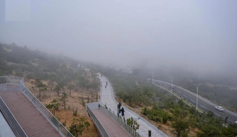 طقس-الصباح-الباكر.-ضباب-وتدني-مدى-الرؤية-على-الشرقية
