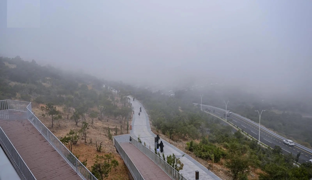 طقس-الصباح-الباكر.-ضباب-وتدني-مدى-الرؤية-على-الشرقية