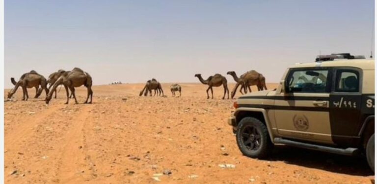 ضبط-مخالفين-لنظام-البيئة-بمنطقتي-الرياض-والمدينة-المنورة