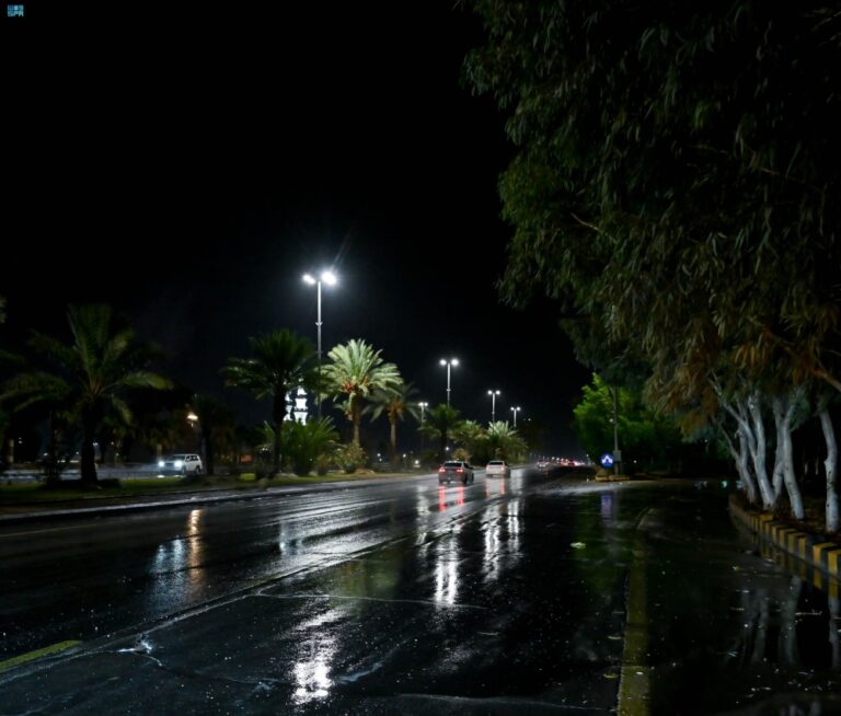 الطقس-في-السعودية.-هطول-أمطار-خفيفة-على-مدينة-عرعر