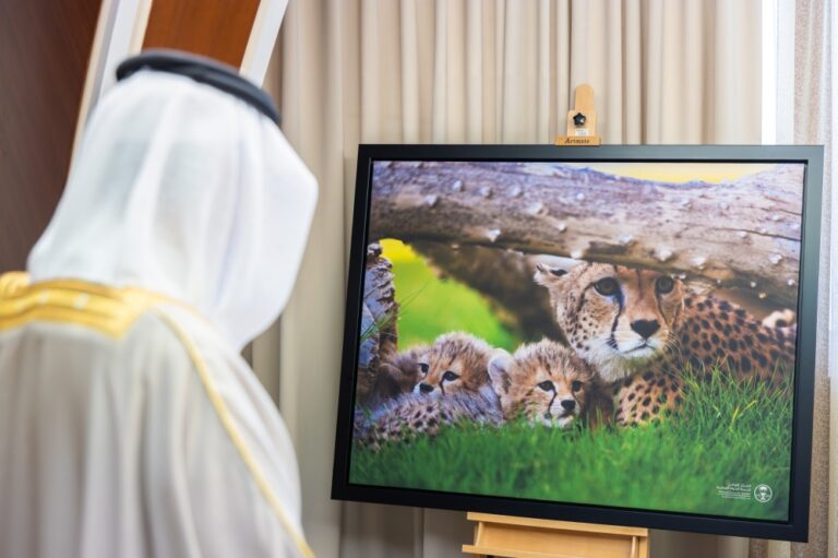 أمير-المنطقة-الشرقية-يطّلع-على-مشاريع-حماية-البيئات-البحرية-في-المنطقة