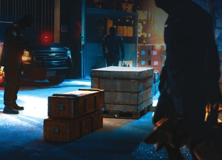 مخدرات-وأسلحة-ومواد-محظورة.-ضبط 1253-حالة-تهريب-جمركي-خلال-أسبوع