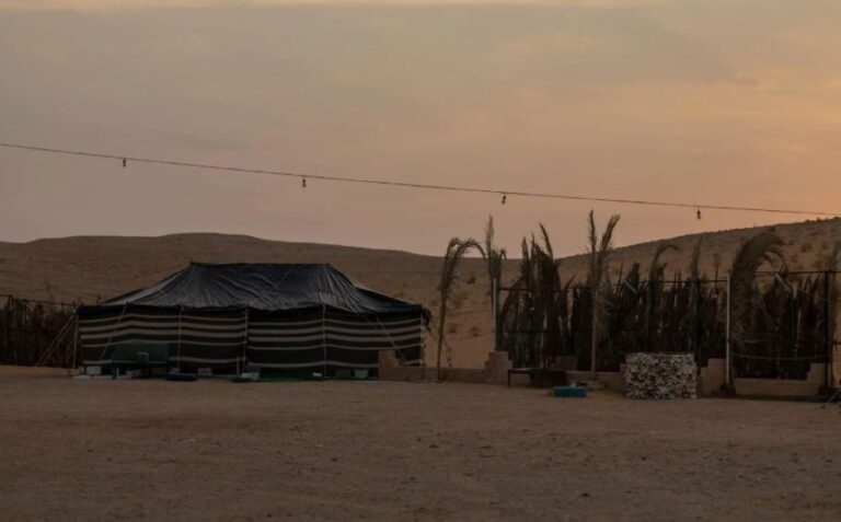 صور-|-التخييم-في-صحراء-الشمال.-طبيعة-هادئة-وسياحة-شتوية-متزايدة