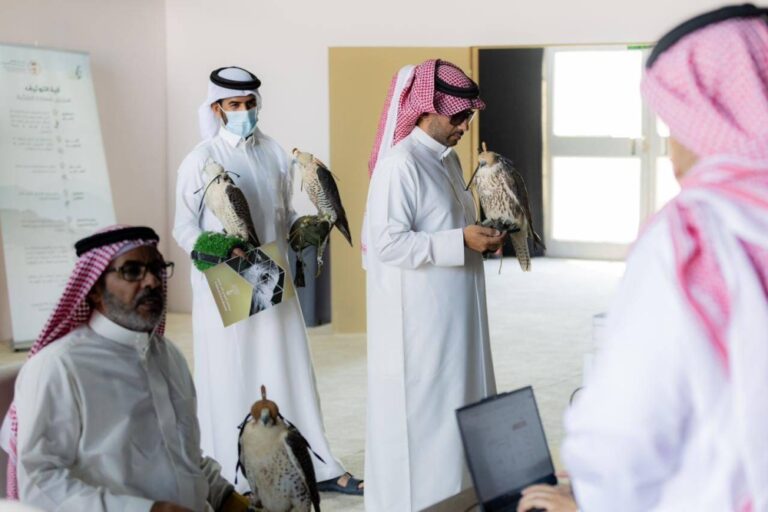 إقبال-لتوثيق-ملكية-الصقور-في-منافسات-2025-بالخبر