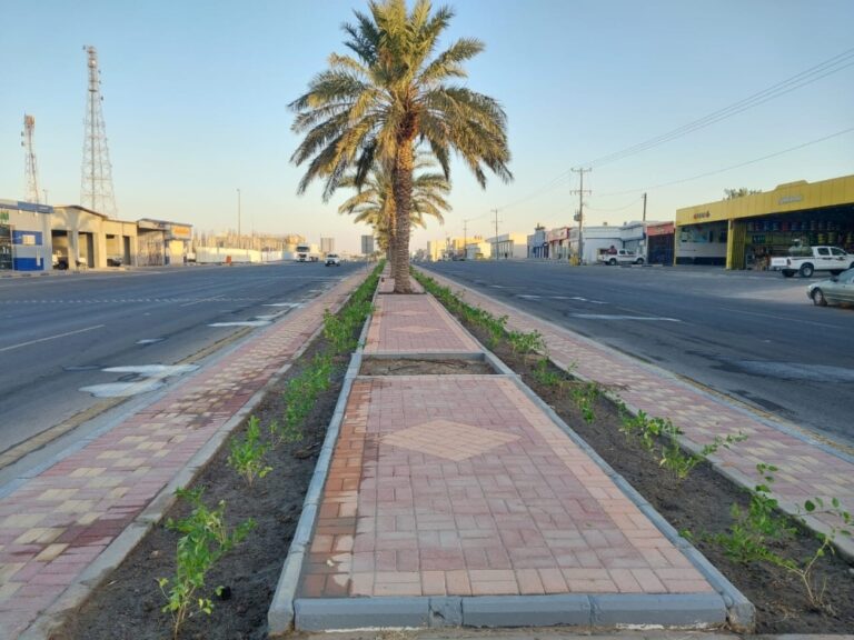 بـ5000-زهرة-متنوعة.-الصرار-تحول-شوارعها-إلى-مساحات-خضراء-مزهرة