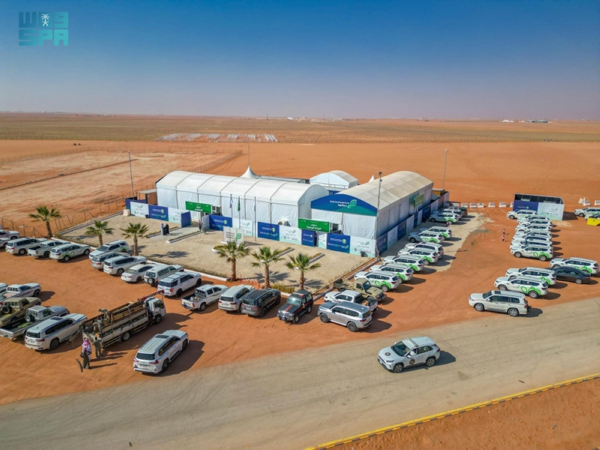 الشركة-الوطنية-للخدمات-الزراعية-تباشر-أعمالها-في-مهرجان-الإبل