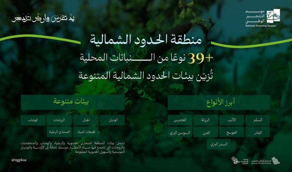 بيئات-الحدود-الشمالية-تزدهر-بانتشار39-نوعا-من-النباتات-المحلية-الملائمة-للتشجير