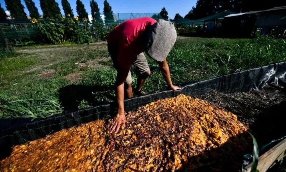 فوائد-كبيرة.-“كاوست”-تنجح-في-تحويل-مخلفات-الطعام-إلى-مكونات-مستدامة