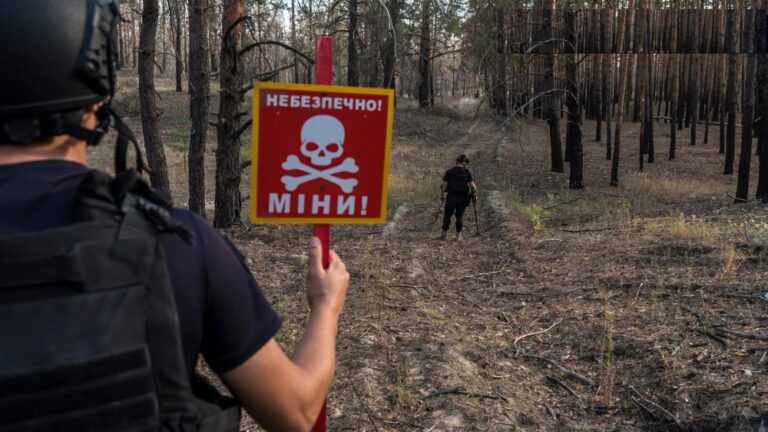 تراجع-جهود-المكافحة.-ارتفاع-حاد-في-ضحايا-الألغام-الأرضية-في-2024