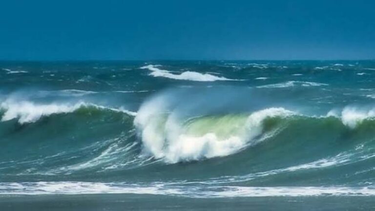 حالة-الطقس.-أمطار-خفيفة-وضباب-على-أجزاء-من-المناطق