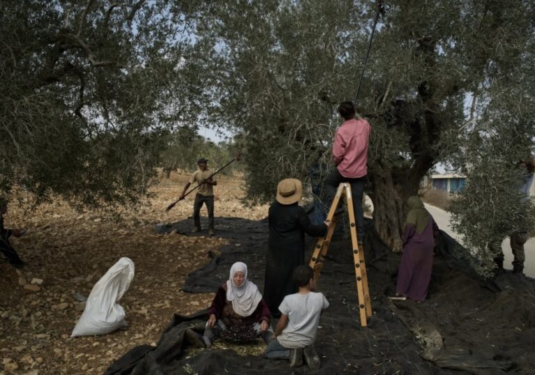 عنف-إسرائيلي-متصاعد-وسط-تمدد-البؤر-الاستيطانية