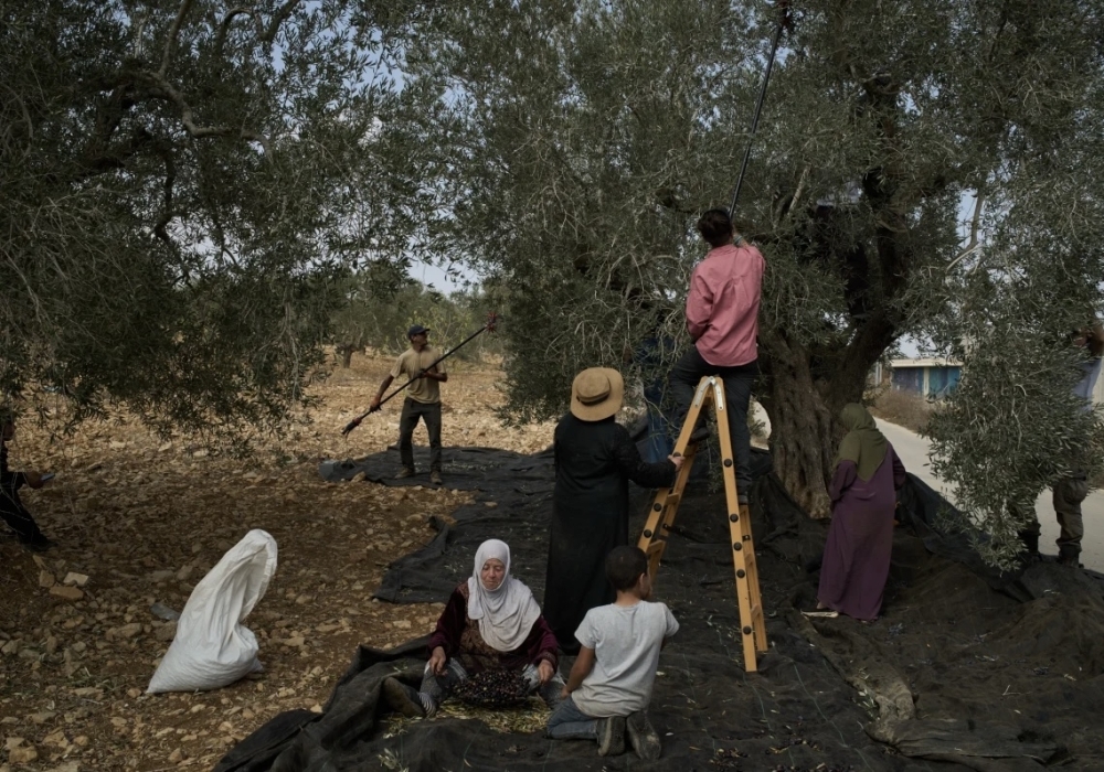 عنف-إسرائيلي-متصاعد-وسط-تمدد-البؤر-الاستيطانية