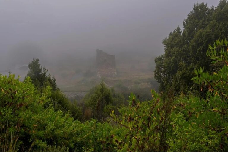 الأماكن-والمواعيد.-ضباب-متباين-الشدة-على-أجزاء-من-4-مناطق