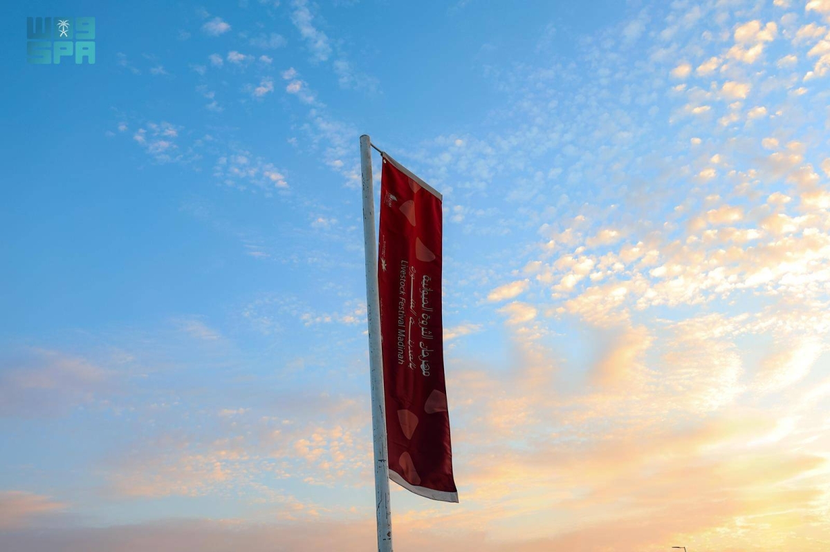 انطلاق-فعاليات-مهرجان-
الثروة-الحيوانية-الأول-بالمدينة-المنورة