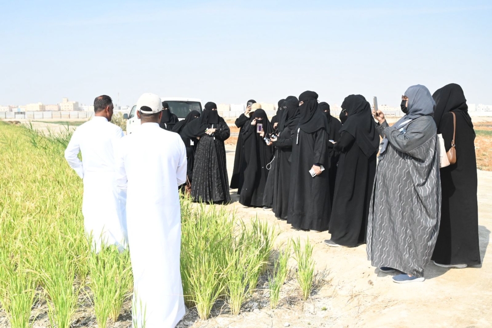 الزراعة-الذكية.-برنامج-ميداني-لتمكين-المرأة-الريفية-من-إدارة-المزارع-بالأحساء