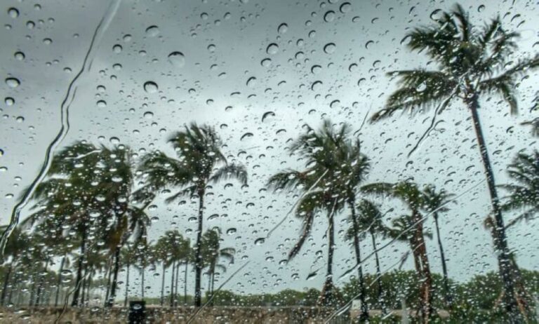 عاجل-|-تعليم-المدينة-المنورة-يعلن-تعليق-الدراسة-الحضورية-غدًا