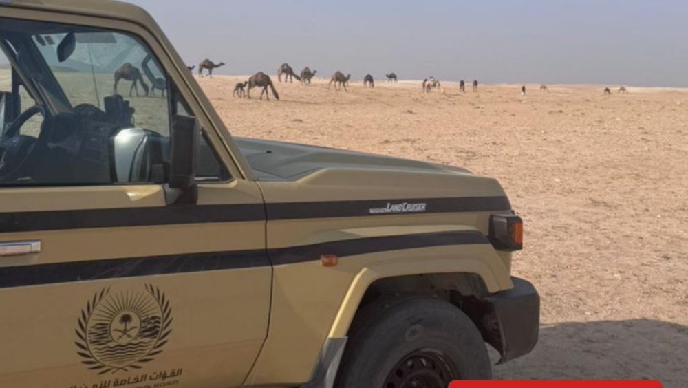 ضبط-مخالفًا-بالرعي-في-محمية-الإمام-عبدالعزيز-بن-محمد-الملكية