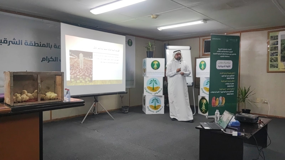 إطلاق-برنامج-لتوطين-تقنيات-«الدجاج-اللاحم»-بالشرقية