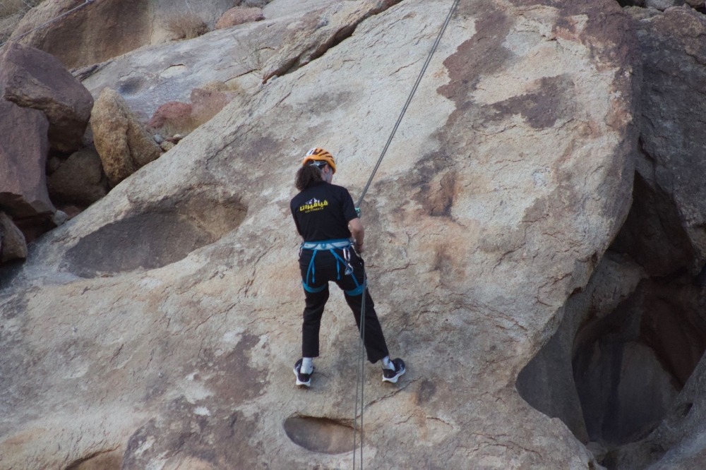 فعاليات-ومبادرات-بيئية-تجوب-المملكة-احتفاءً-بطبيعتها-الفريدة