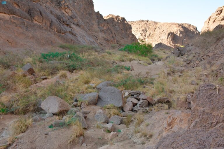 وادي-مغيدد-في-نجران.-بيئة-مناسبة-للتنزه-والاستمتاع-بجمال-الطبيعة